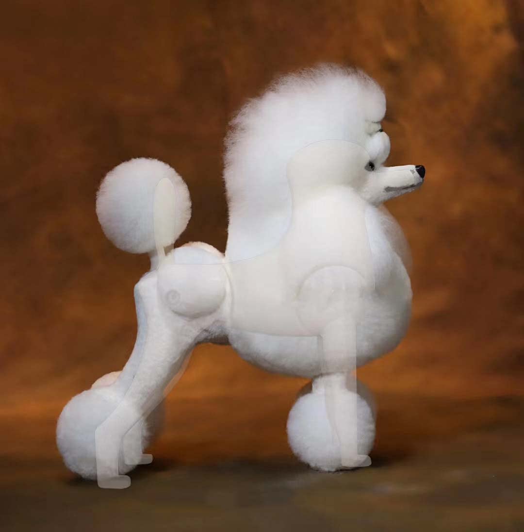 PELUCAS - MODEL DOG - POODLE COMPETICION
